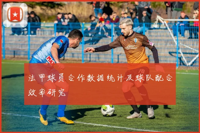 法甲球员合作数据统计及球队配合效率研究