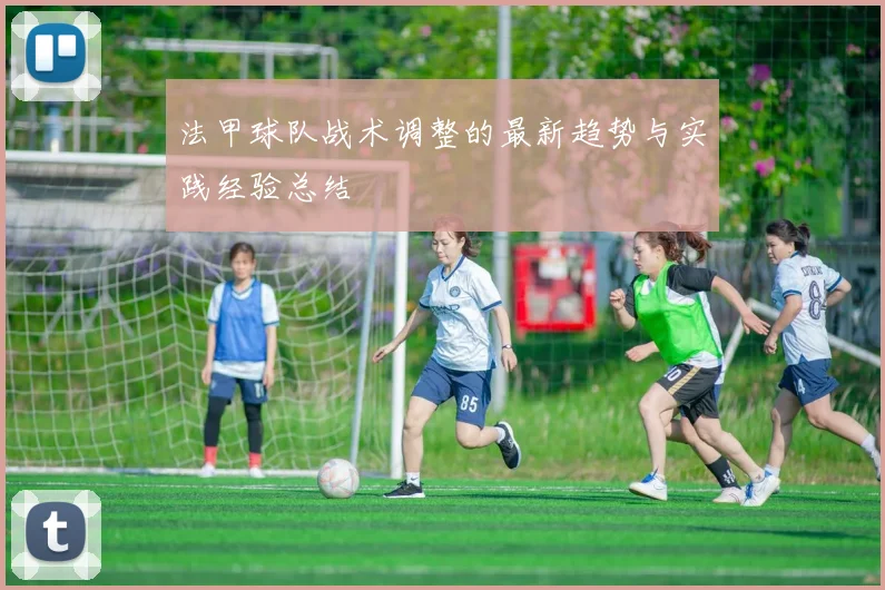 法甲球队战术调整的最新趋势与实践经验总结