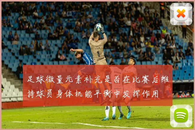 足球微量元素补充是否在比赛后维持球员身体机能平衡中发挥作用